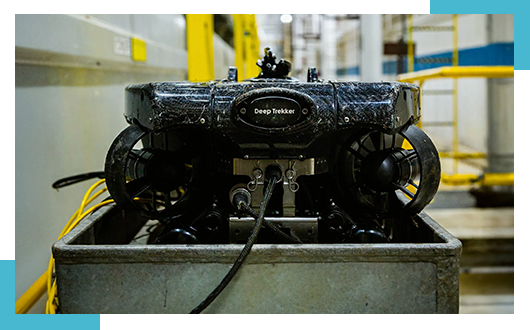 Applications of Nereus ROV Services