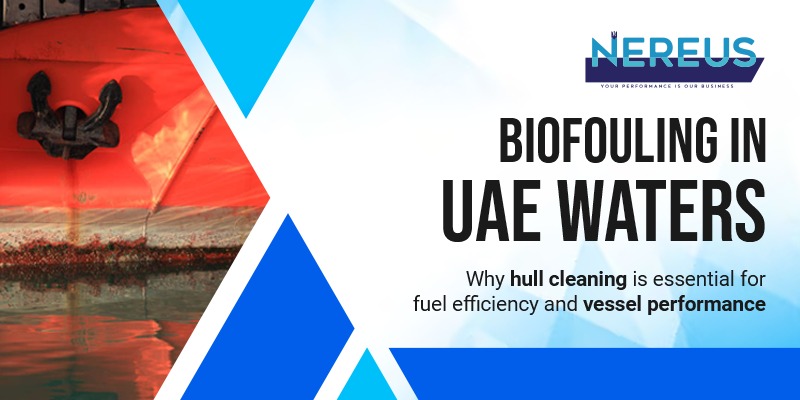 underwater hull cleaning